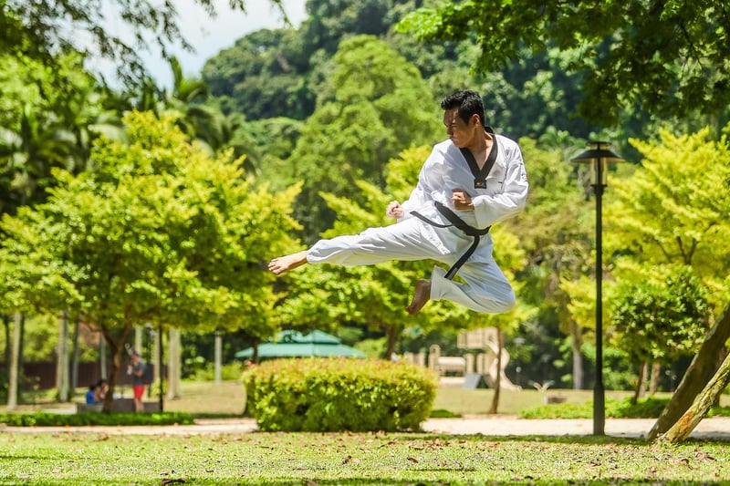 Chen Style Chinese Martial Arts